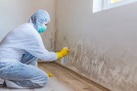 Why You Should Choose Our Mold Remediation Services in Montpelier, VT